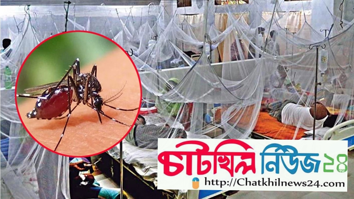 চাটখিলে ডেঙ্গু’র ভয়াবহ অবস্থা